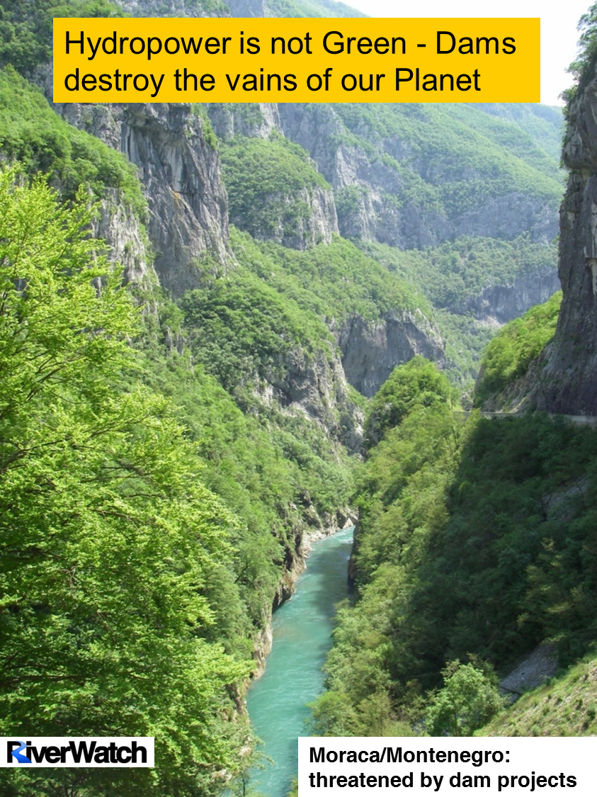 Montenegro Moraca