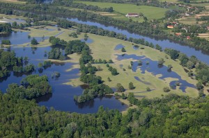 Sava's natural floodplains at Lonjsko Polje Nature Park. Photo: Goran Šafarek