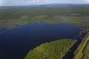 Over 40,000 to 50,000 hectares of floodplains could be realistically restored along the entire Sava River. Photo: Goran Šafarek