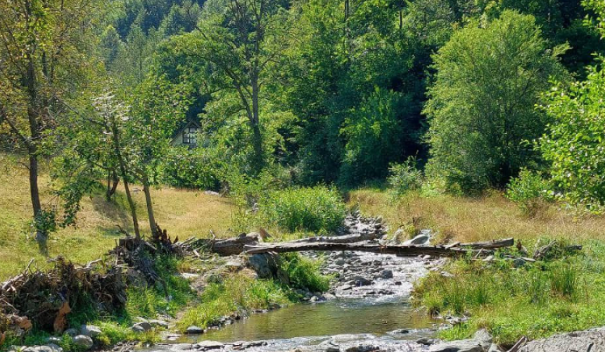 Der Nationalpark Sharr Mountains ist reich an endemischen Arten, Flüssen und Seen © Gaia Kosovo