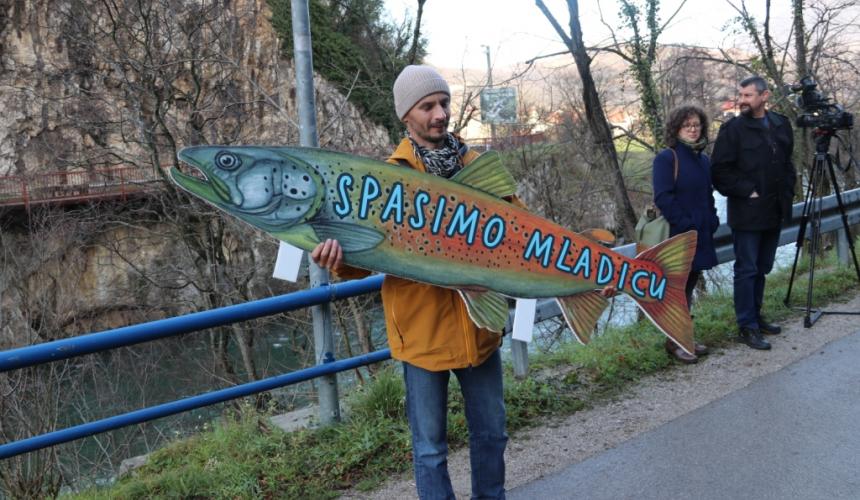 The projected HPP on Vrbas would put the critically endangered Huchen further at risk. © Center for Environment