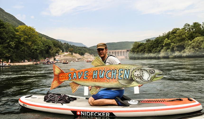 Huchen Protest auf der Drina Regatta. Die Drina ist der wichtigste Fluss für diese global bedrohte Fischart. Dennoch sind hier neun Staudämme geplant © Aleksandar Skoric