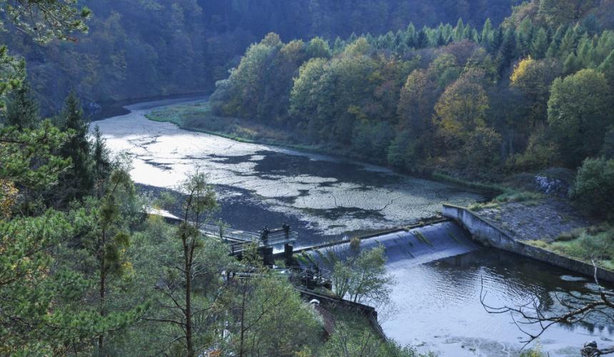 Das Kamp-Kraftwerk Rosenburg: die EVN will das Kraftwerk im Natura 2000-Schutzgebiet Kamptal neubauen und redet Umweltauswirkungen klein © Riverwatch