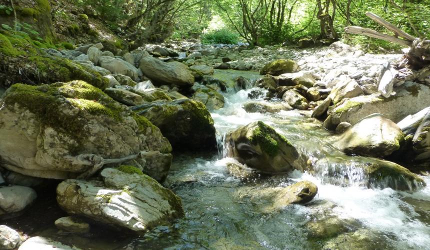 Streams like this would be destroyed by HP projects inside Mavrovo NP © Theresa Schiller