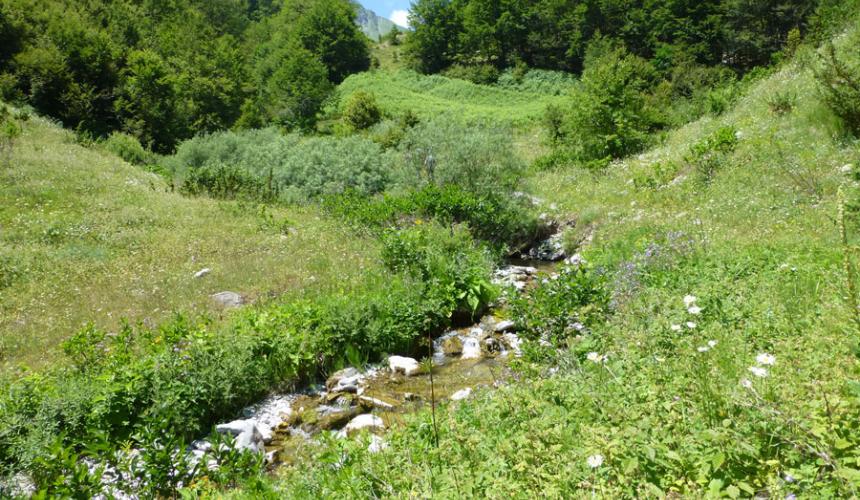 Bäche wie dieser würden durch die WKW Projekte im Mavroro NP zerstört werden © Theresa Schiller