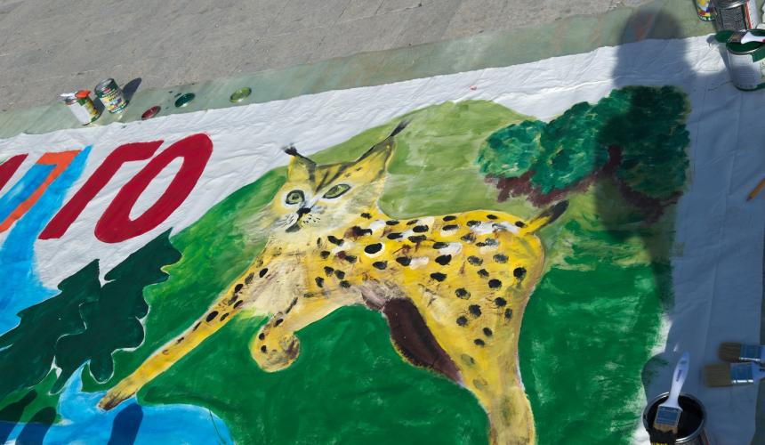 The critically endangered Balkan Lynx, for which the Mavrovo NP represents the last stronghold © Eko-svest