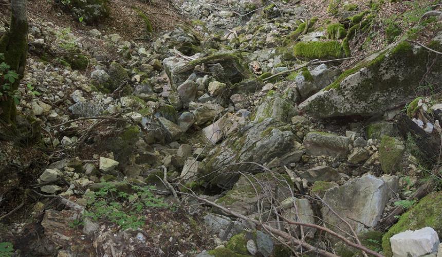 ... leaving river beds dry. © Stojan Lešoski