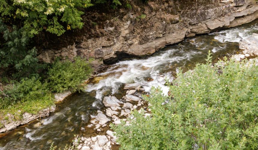 Studenica River © Tijana Jevtić