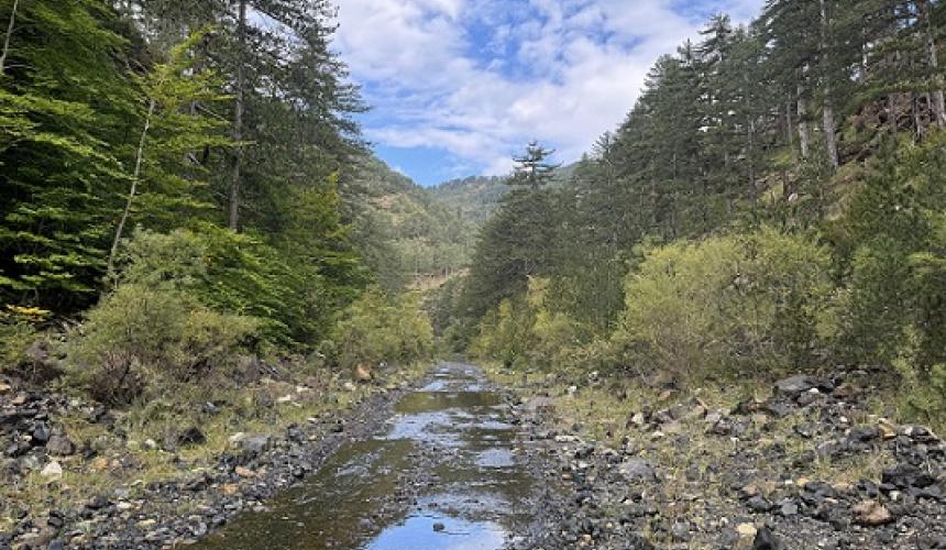 Der einst frei fließende Fluss ist durch einen fehlenden ökologischen Abfluss aus dem Aoos-Stausee auf einen schmalen Bach von gerade einmal 1,3 m Breite reduziert worden. © MedINA