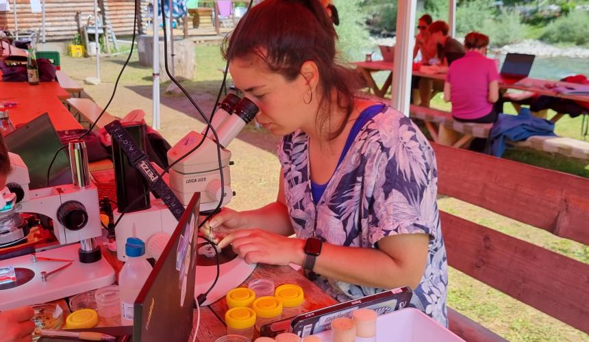 Wissenschaftlerin im Kamp in Ulog © Ivana Milakovic