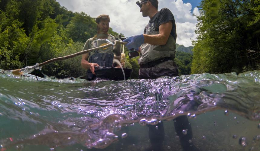 Fish ecologists at work © Vladimir Tadic