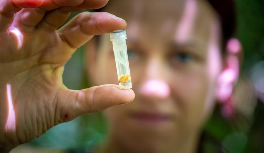 Probenahme von Makroinvertebraten (kleine wirbellose Tiere in Süßgewässern ab einer Größe von ca. 1 Millimeter) © Vladimir Tadić