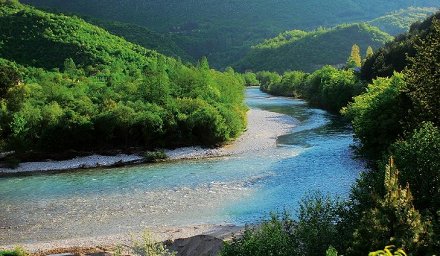 The Neretva and its tributaries in Bosnia-Herzegovina is one of the most important fish hotspots in the Balkans and in Europe. No fewer than 17 endangered and protected species live here. The EU is considering to support the construction of two large scale dams in this river. This would have devastating consequences, e.g. for the endangered Softmouth trout. © A. Vorauer
