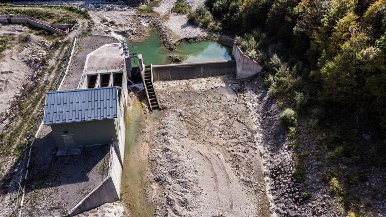 Aufgrund von Wasserkraft und anderen Flussregulierungen sind Süßwasserarten am stärksten bedroht © Amel Emric