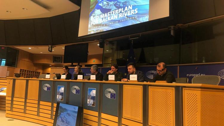 The Eco-Masterplan for Balkan Rivers presented in the European Parliament © Vasileios Katsardis