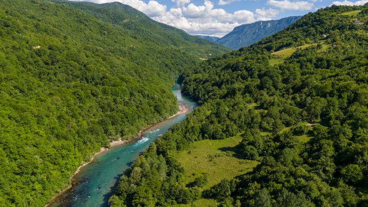 Obere Drina: Dieser noch frei fließende Flussabschnitt würde durch das Buk-Bijela-Stauseeprojekt unter Wasser gesetzt werden. © Bruno D’Amicis