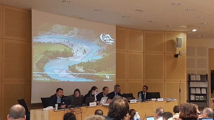 Olsi Nika of EcoAlbania (far left) presents the "Vjosa case" to the Standing Committee of the Bern Convention. (c) Theresa Schiller/EuroNatur