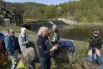 Mit einem Rückbau des Kraftwerks Rosenburg und weiterer Renaturierungen flussabwärts kann der Kamp wieder zu einem Paradies für viele bedrohte Arten werden – und damit auch ein Juwel für den lokalen Tourismus © Matthias Schickhofer