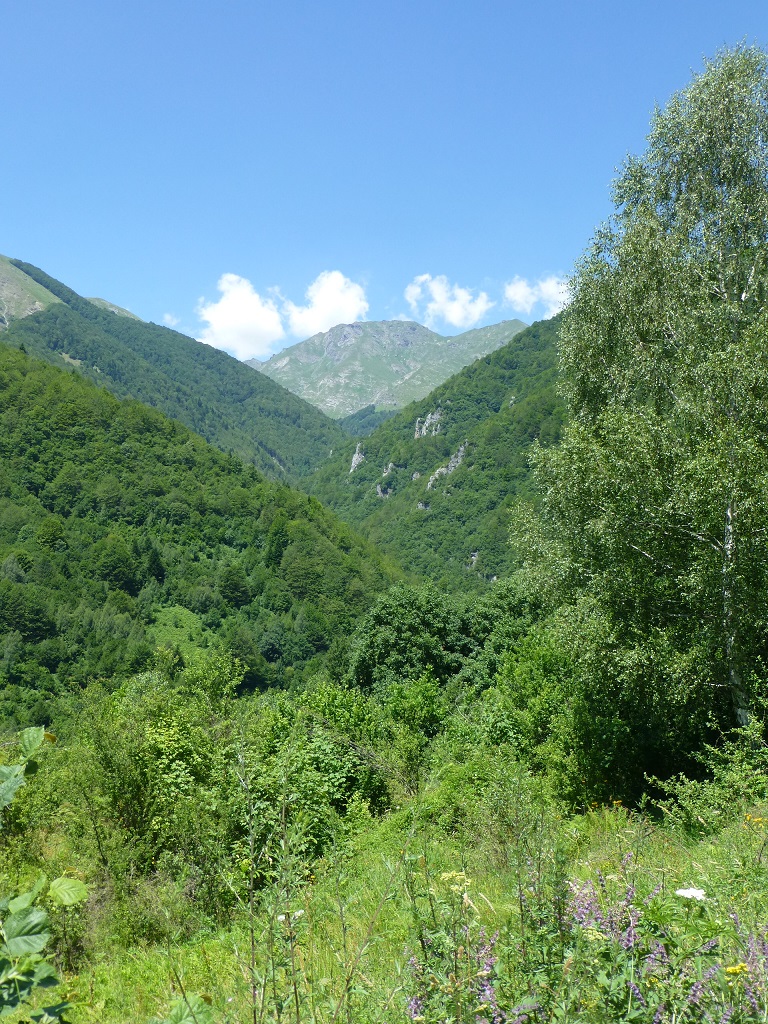 One of the intake points for HPP Ribnichka is planned in this valley © Theresa Schiller