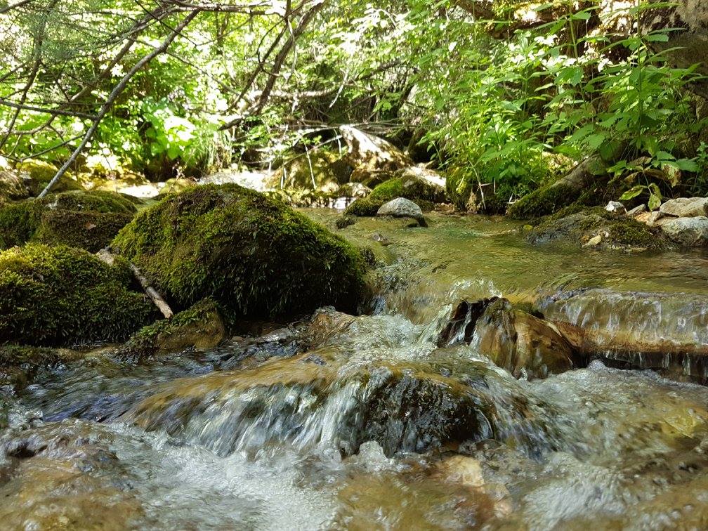 Ein Wasserkraftwerk am Fluss Zirovnicka im Mavrovo-Nationalpark wurde eingestellt, weitere sind jedoch geplant. Der Kampf geht weiter. © Front 21/42