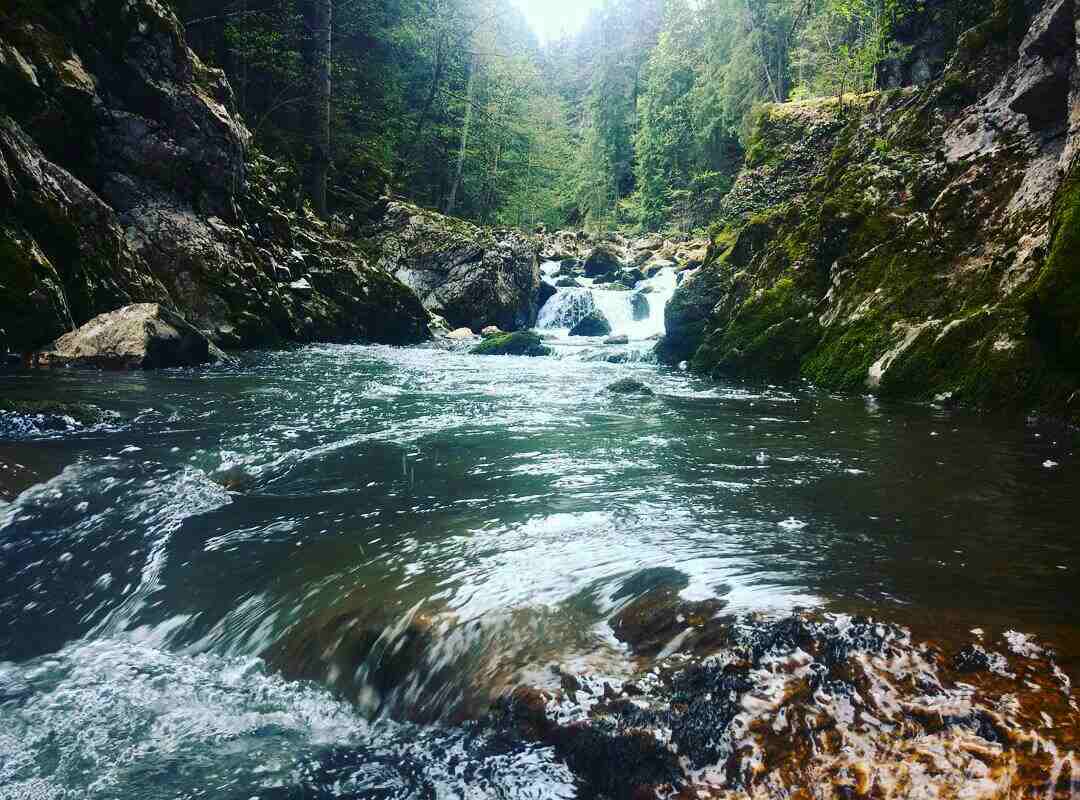 Stupčanica River, Bosna River Basin, Bosnia and Herzegovina. Photo: CZZS